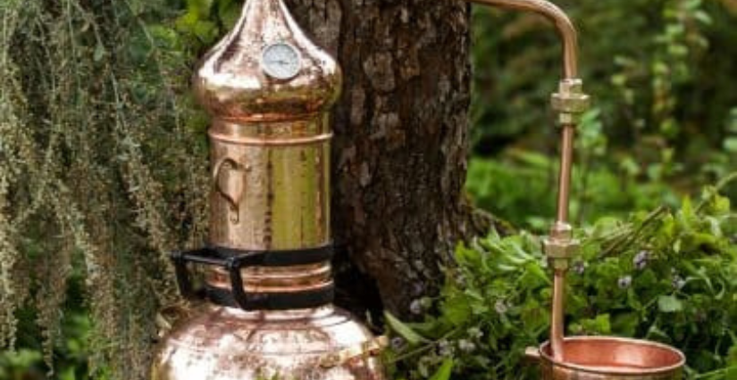 Atelier de distillation d’eau florale au Prieuré Saint Cosme, Demeure de Ronsard, proche de Tours