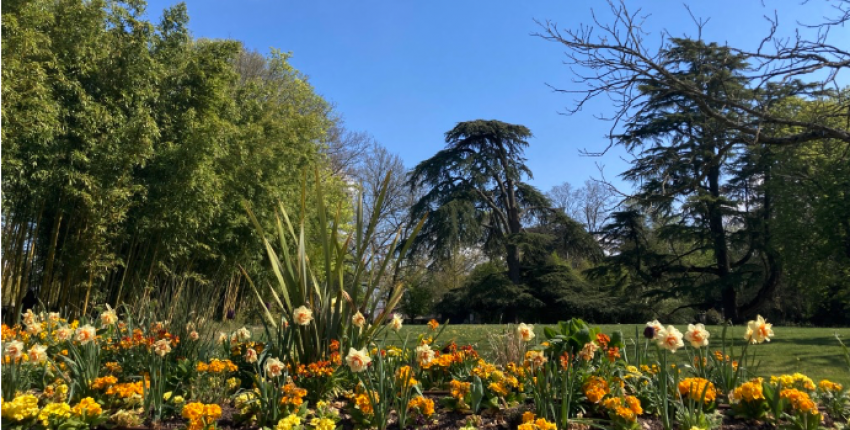 Saint-Cyr-sur-Loire : une ville jardin aux portes de Tours