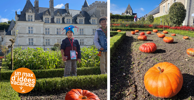 Dans le potager du Château de Villandry