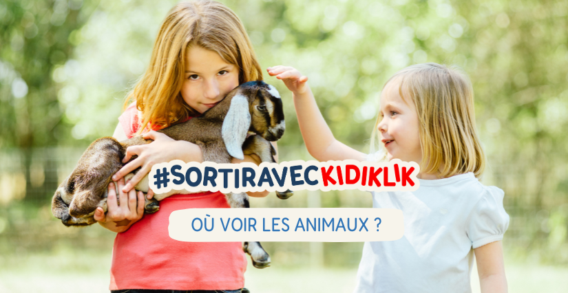 Où voir les animaux en Touraine ?