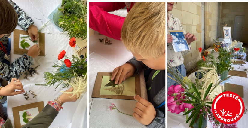 Atelier cyanotype avec Bleu Absolu