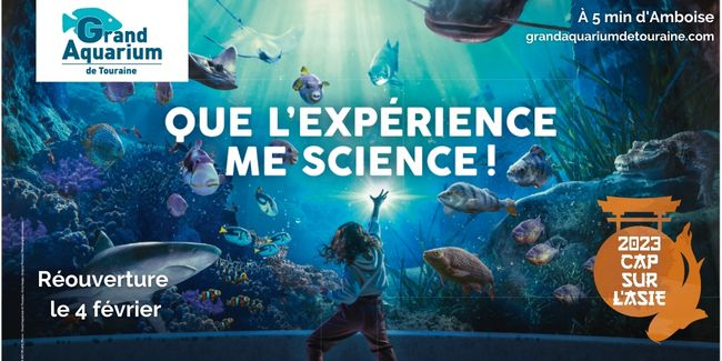 Venez voir les poissons en famille au Grand Aquarium de Touraine, à 5 minutes d'Amboise