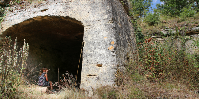 L'agenda des Sorties Nature du Conseil Départemental en Indre-et-Loire : RDV, ateliers et balades en famille en JUIN 2023