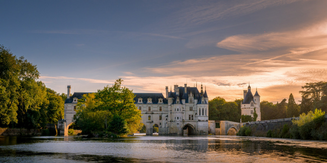 Visite botanique des jardins historiques du Château de Chenonceau 