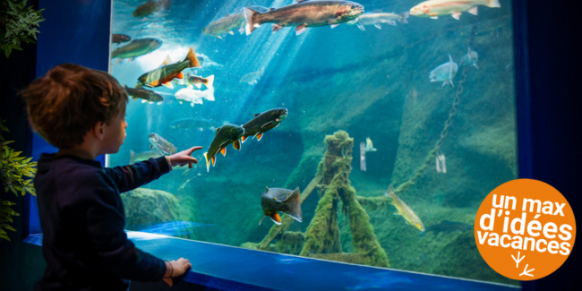 Le Labo : une expérience pour enrichir votre visite au Grand Aquarium de Touraine