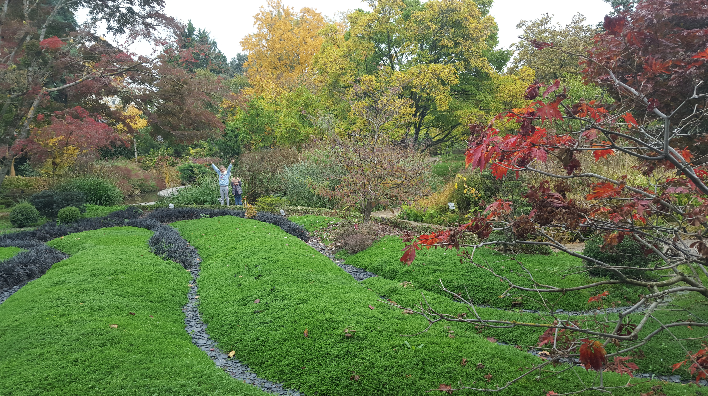 Le Jardin botanique de Tours se met aux couleurs du Japon