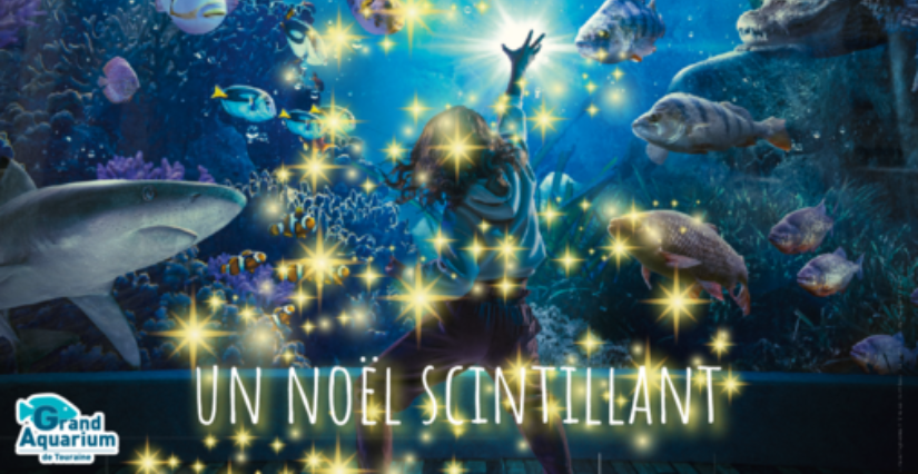 Un Noël scintillant au Grand aquarium de Touraine