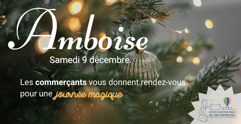 Journée magique en famille dans le centre-ville d'Amboise