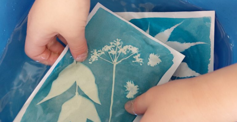 Atelier "Cyanotype en famille", dès 4 ans au Musée Balzac, Chateau de Saché