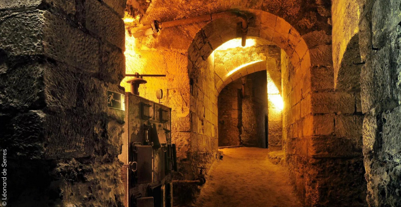 Visite guidée "Les coulisses de l’Histoire" en famille au Château royal d'Amboise