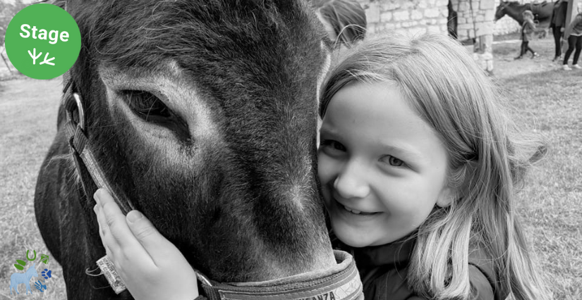 Stage à la ferme pour les 6 - 12 ans à la ferme de Murmur'ânes aux Millevents, près de Chinon Stage à la ferme pour les 6 - 12 ans à la ferme de Murmur'ânes aux Millevents, près de Chinon