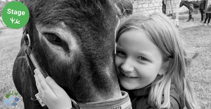 Stage à la ferme pour les 5 - 12 ans à la ferme de Murmur'ânes aux Millevents, près de Chinon