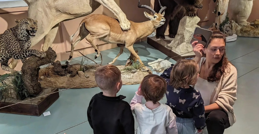 Atelier « Les tout-petits au Muséum » au Muséum d’Histoire naturelle à Tours Atelier « Les tout-petits au Muséum » au Muséum d’Histoire naturelle à Tours