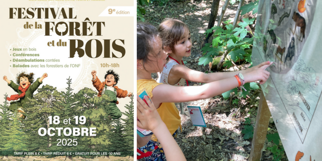 Festival de la Forêt et du Bois au Château de la Bourdaisière à Montlouis-sur-Loire