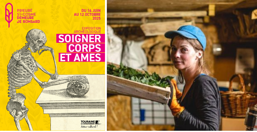 Atelier herboristerie