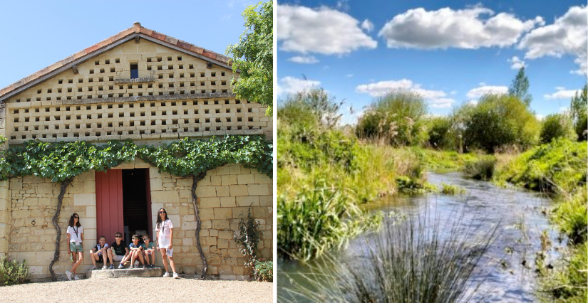Escapade en famille "Nature et géants" au Marais de Taligny