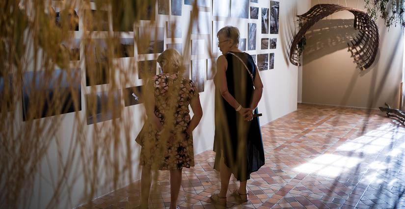 Exposition "Nebula liger, un fleuve à soi" au Centre d'exposition du Château de Tours