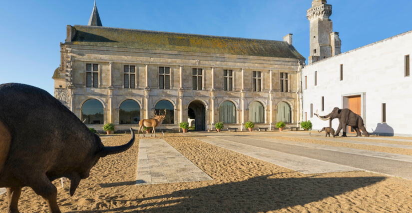 Les Journées européennes du Patrimoine 2026 au Musée de la Préhistoire du Grand Pressigny