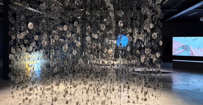 Exposition collective "l'idée des corps célestes" au CCC OD de Tours
