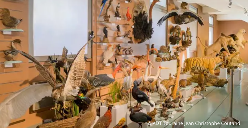 Museum d'H.N Tours