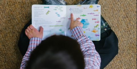 La Médiathèque de Chambray-les-Tours : des animations pour les famille et les enfants, dès 6 mois