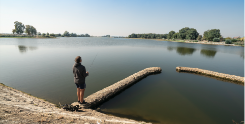 L'agenda des Sorties Nature du Conseil Départemental en Indre-et-Loire : RDV, ateliers et balades en famille en NOVEMBRE 2023