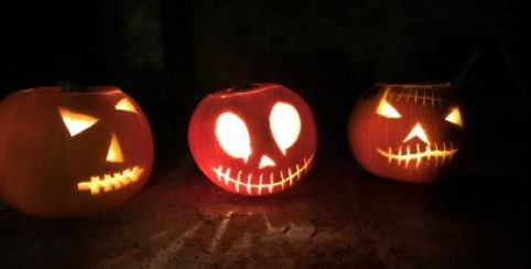 Atelier Citrouilles d'Halloween en famille au Domaine de Candé