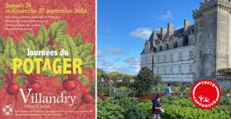 Les Journées du potager du Château de Villandry testées et approuvées par les enfants ! Découvrez notre reportage.