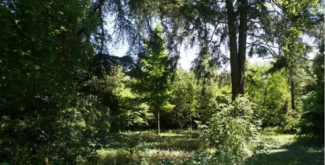 Le Bois de la Rablais à Saint-Cyr-sur-Loire